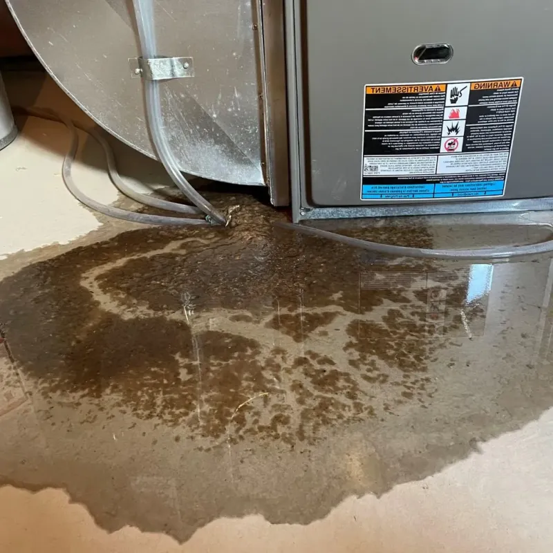 Pipe Burst and Leak Restoration in Mentor-on-the-Lake, OH